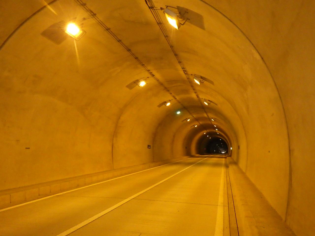 (主)南アルプス公園線 新青崖トンネル（仮称）建設工事（一部債務）